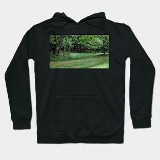 Dreaming Field Hoodie